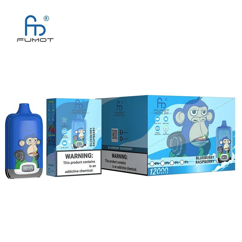 RandM Digital Box 12000 Puffs